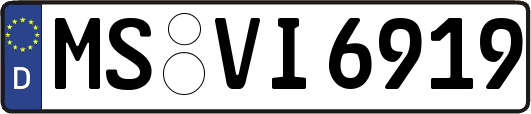 MS-VI6919