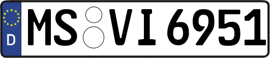 MS-VI6951