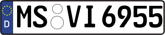MS-VI6955