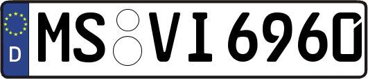 MS-VI6960