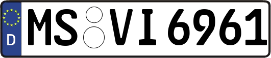 MS-VI6961