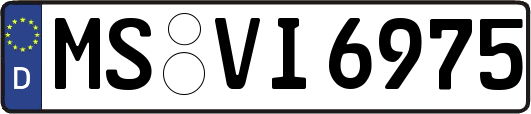 MS-VI6975