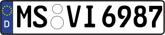MS-VI6987