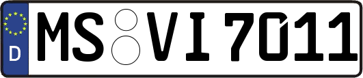 MS-VI7011