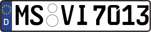 MS-VI7013