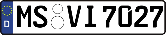 MS-VI7027