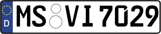 MS-VI7029