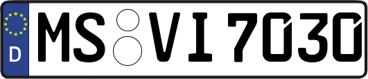 MS-VI7030