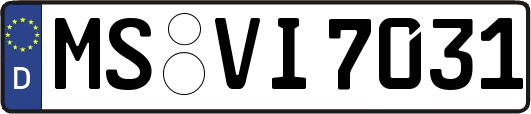 MS-VI7031