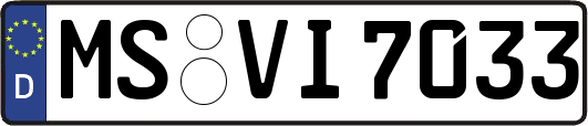MS-VI7033