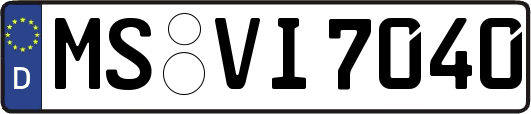 MS-VI7040