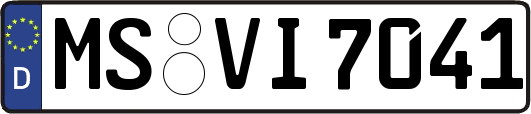 MS-VI7041