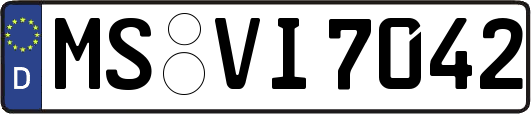 MS-VI7042