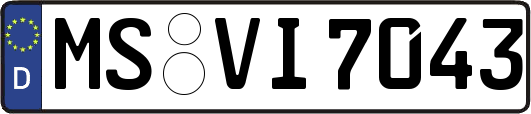 MS-VI7043