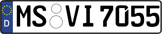 MS-VI7055