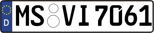 MS-VI7061