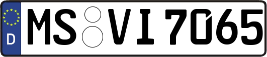 MS-VI7065