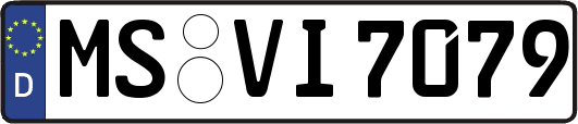 MS-VI7079