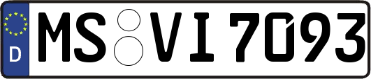 MS-VI7093