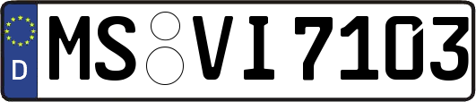 MS-VI7103
