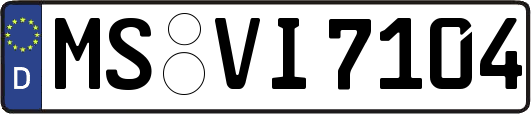 MS-VI7104