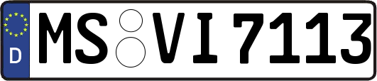 MS-VI7113