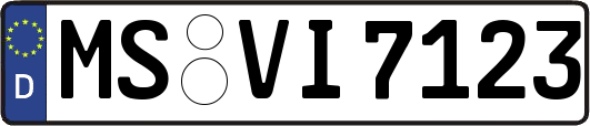 MS-VI7123