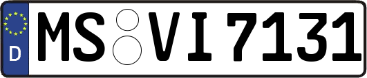 MS-VI7131