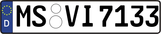 MS-VI7133