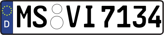 MS-VI7134