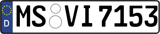 MS-VI7153
