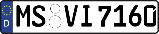 MS-VI7160