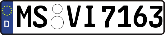 MS-VI7163