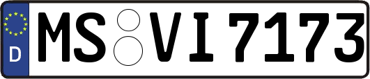 MS-VI7173