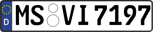 MS-VI7197