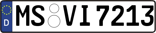MS-VI7213