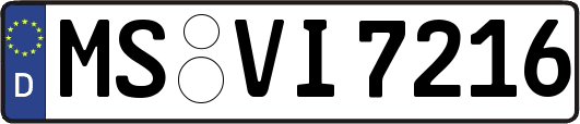 MS-VI7216