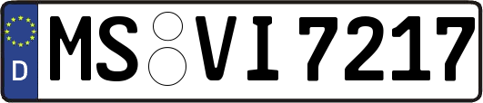 MS-VI7217