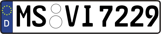 MS-VI7229