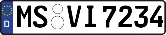 MS-VI7234