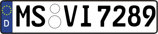MS-VI7289