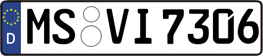 MS-VI7306