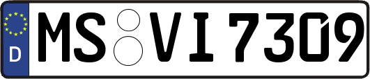 MS-VI7309