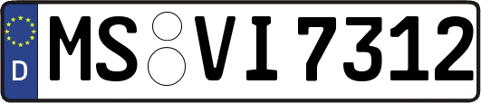 MS-VI7312
