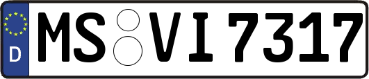 MS-VI7317