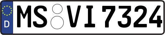 MS-VI7324