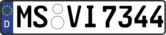 MS-VI7344