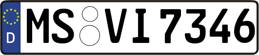 MS-VI7346