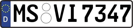 MS-VI7347