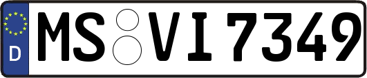 MS-VI7349